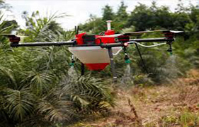 Actualités économiques